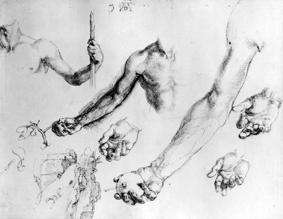 Studi per il braccio di Adamo, 1504 da Albrecht Dürer